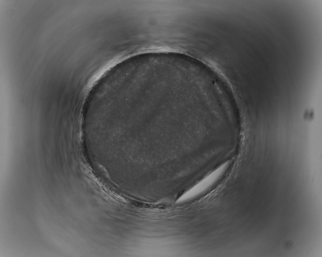 X0000115371173200911241233