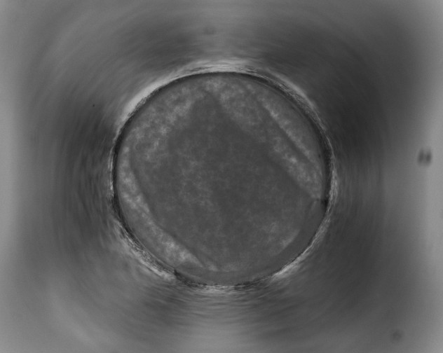 X0000115371174200911241233