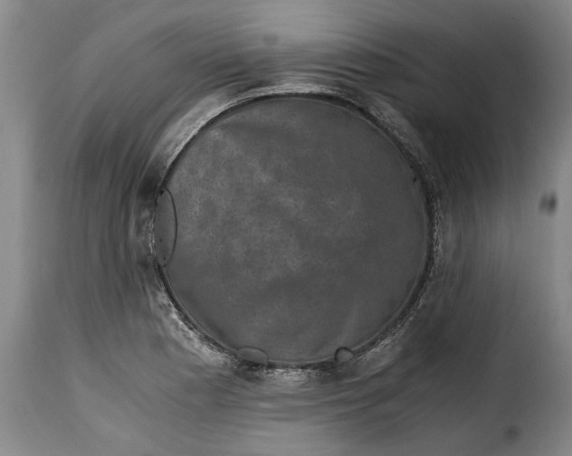 X0000115371177200911241233