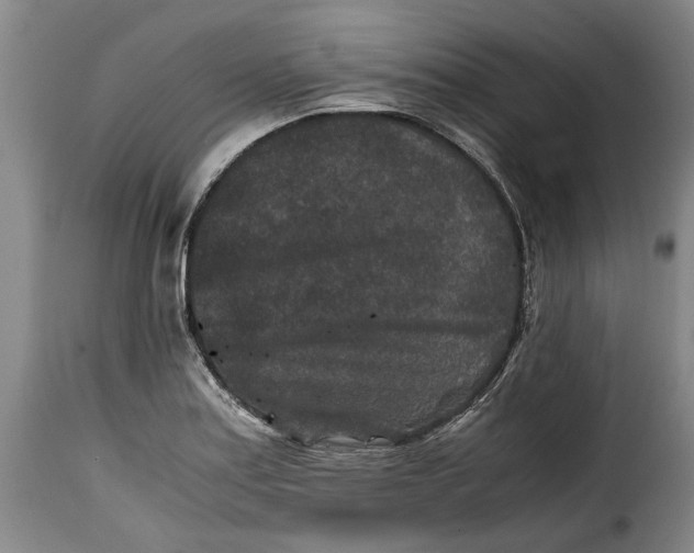 X0000115371179200911241233