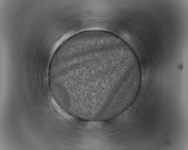X0000115371181200911241233