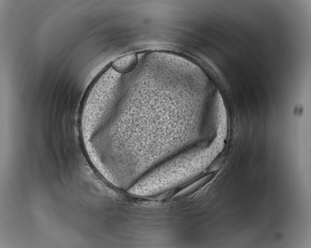 X0000115371182200911241233