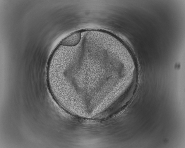 X0000115371183200911241233