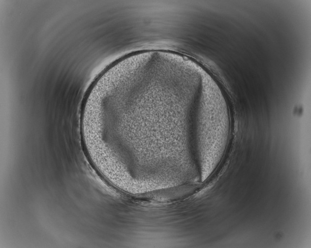 X0000115371184200911241233