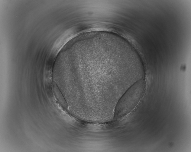 X0000115371185200911241233