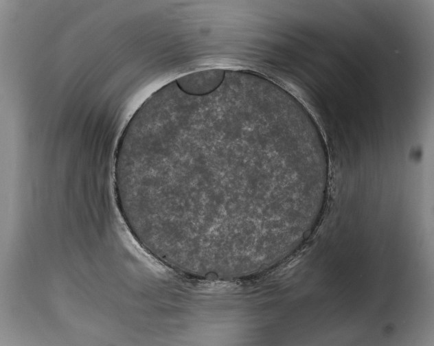X0000115371187200911241233