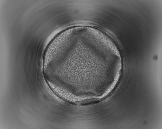 X0000115371188200911241233