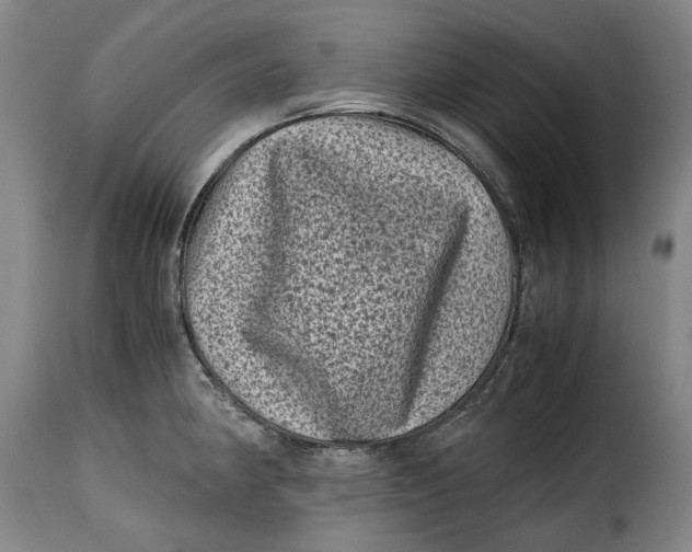 X0000115371190200911241233