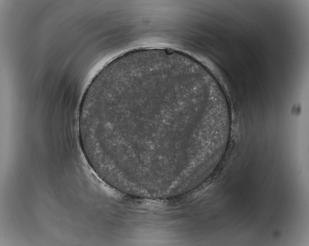 X0000115371191200911241233