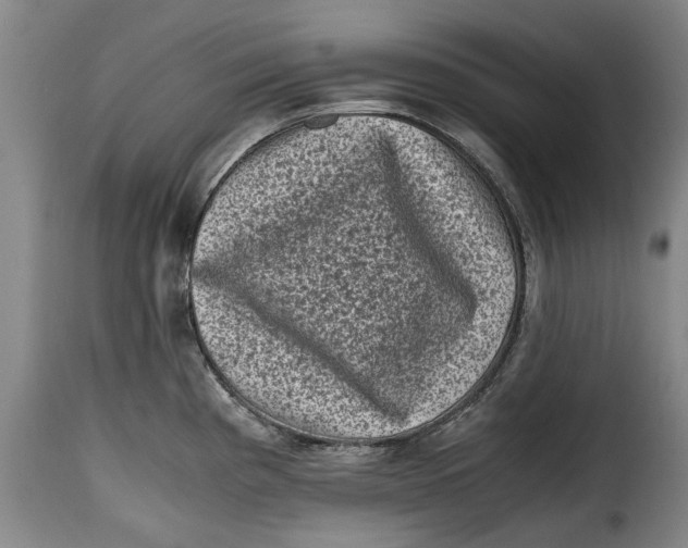 X0000115371193200911241233