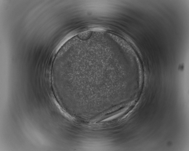 X0000115371194200911241233