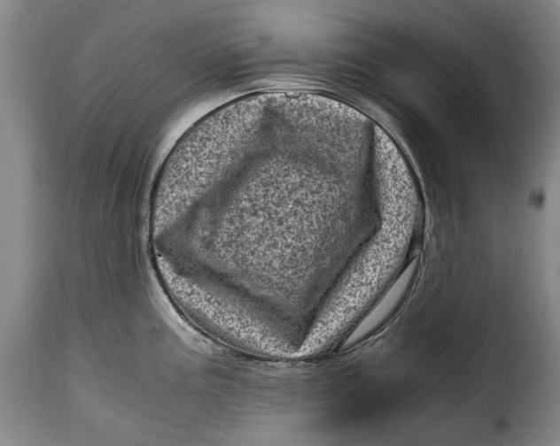 X0000115371195200911241233