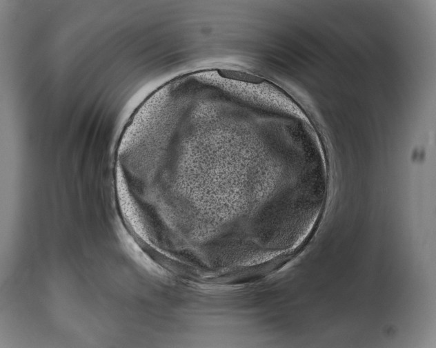 X0000115371200200911241233