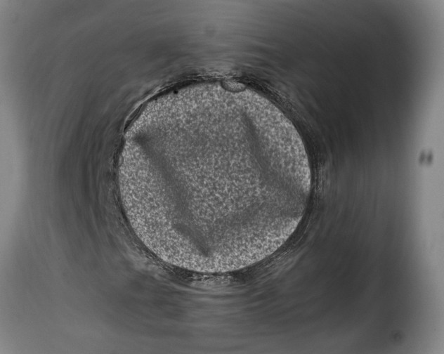 X0000115371201200911241232