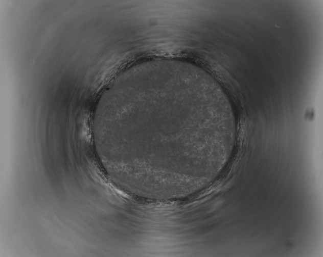 X0000115371202200911241232
