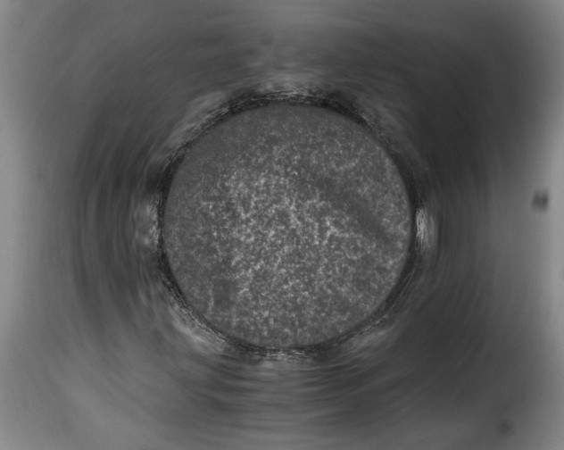 X0000115371203200911241232