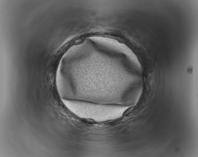 X0000115371206200911241232