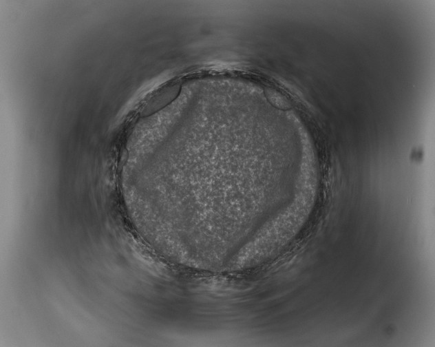X0000115371207200911241232