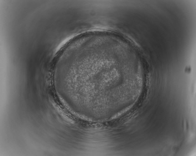 X0000115371208200911241232