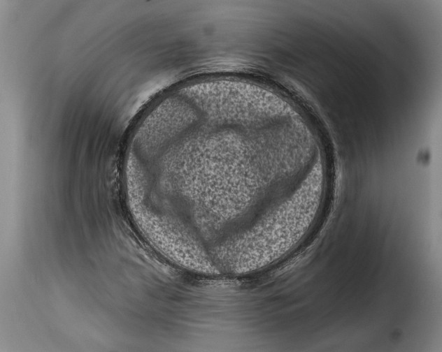 X0000115371210200911241232