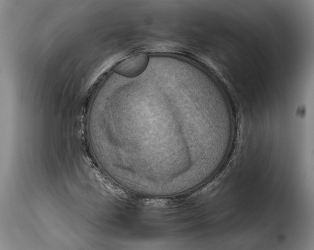 X0000115371211200911241232