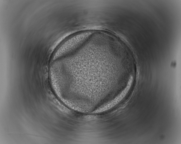 X0000115371212200911241232