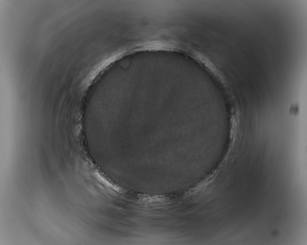 X0000115371213200911241232