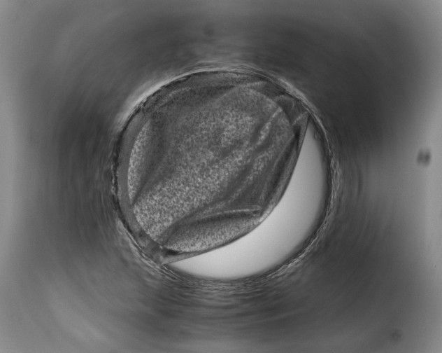 X0000115371215200911241232