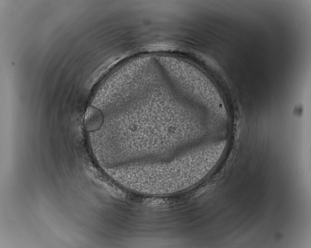X0000115371217200911241232