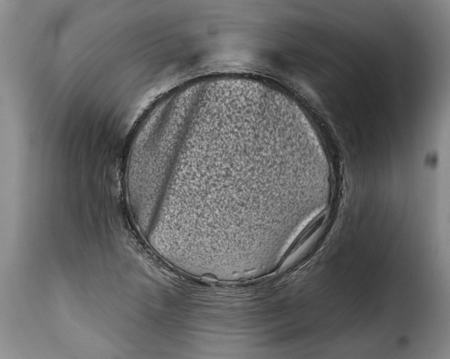 X0000115371218200911241232