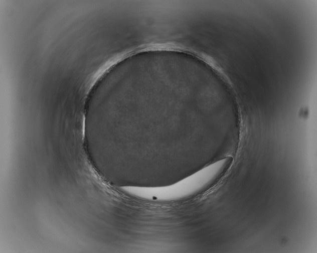 X0000115371221200911241233