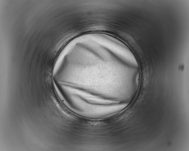 X0000115371225200911241233