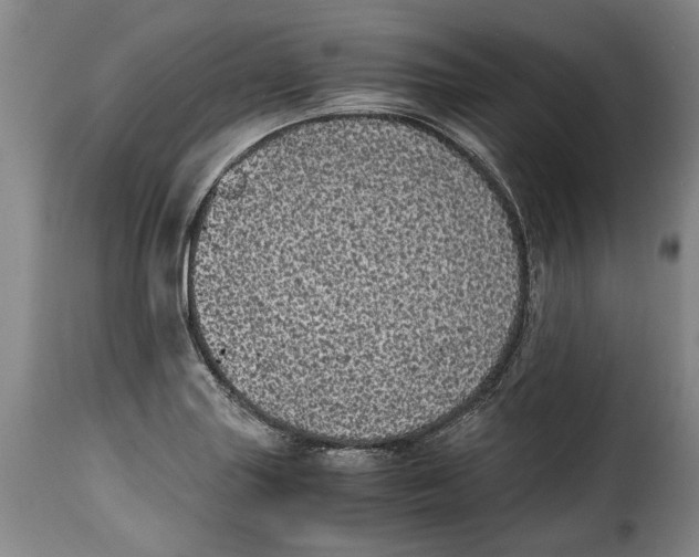 X0000115371227200911241233