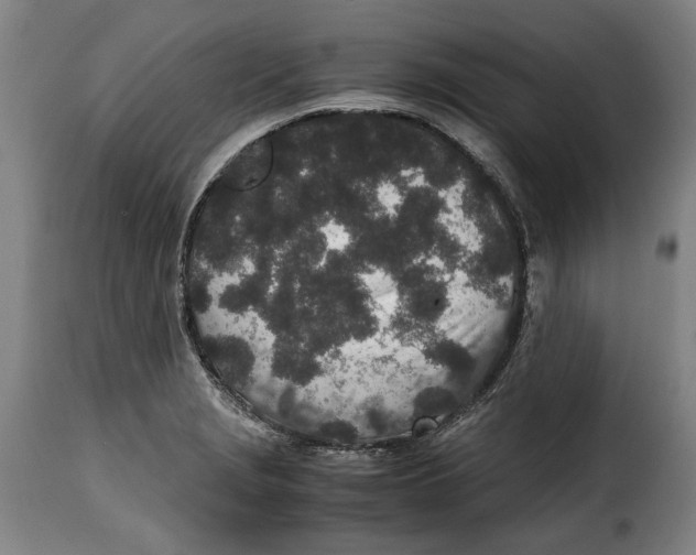 X0000115371229200911241233