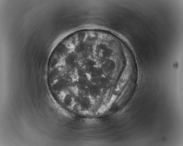X0000115371231200911241233