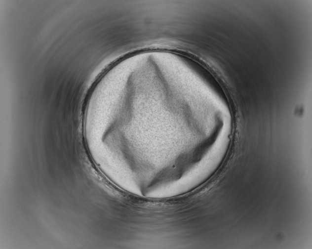 X0000115371232200911241233