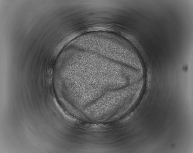 X0000115371233200911241233