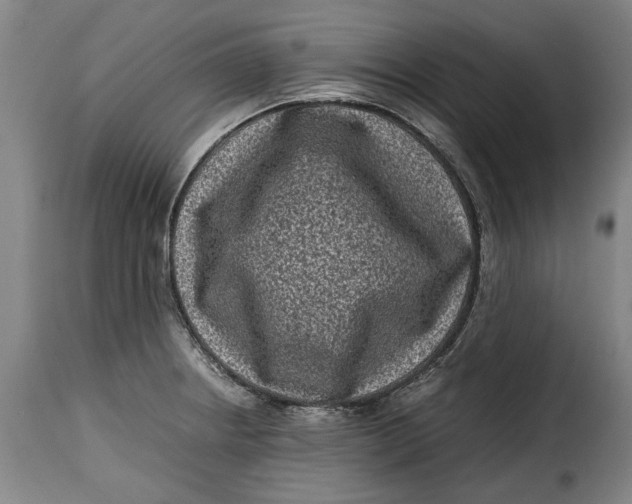X0000115371234200911241233