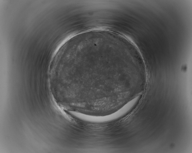 X0000115371235200911241233
