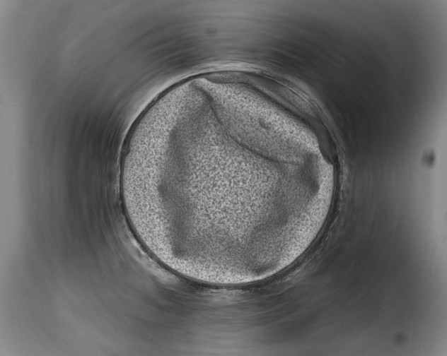X0000115371236200911241233