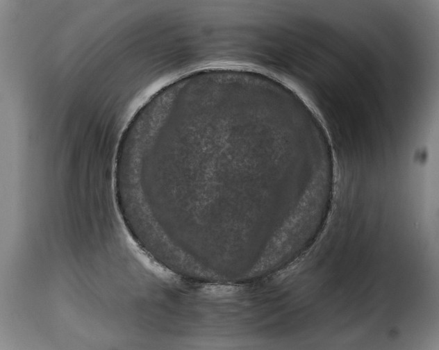 X0000115371237200911241233