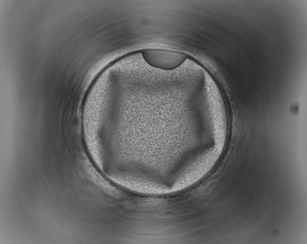 X0000115371238200911241233