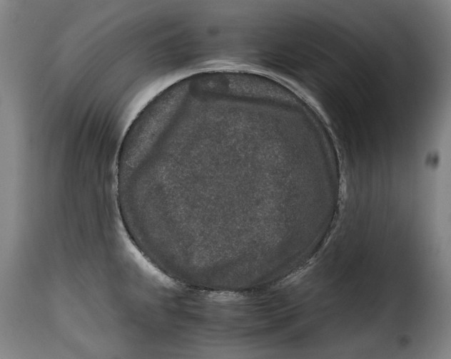 X0000115371239200911241233