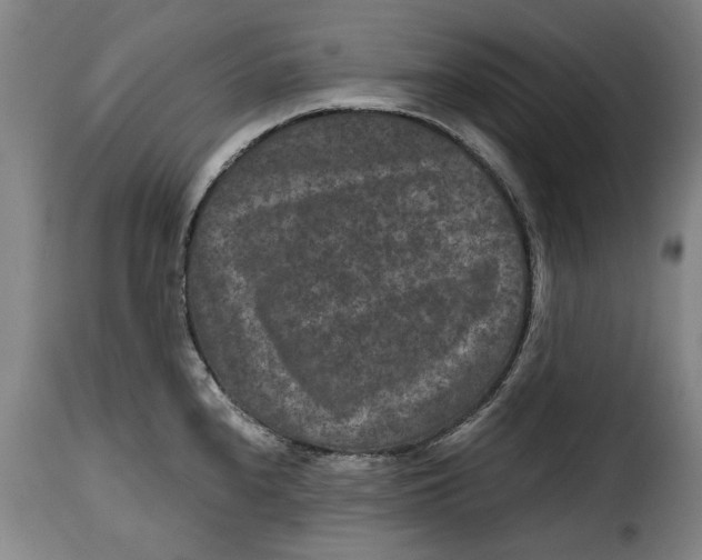 X0000115371240200911241233