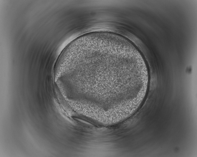 X0000115371242200911241233