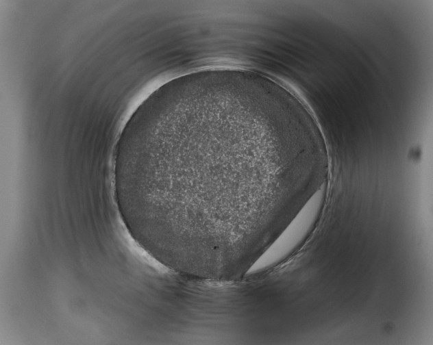 X0000115371243200911241233
