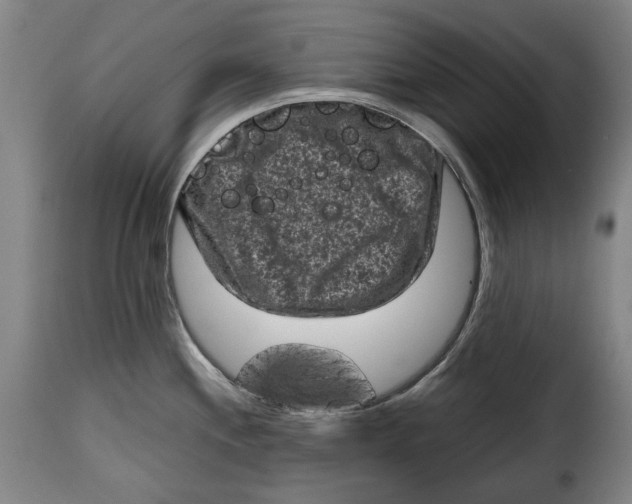X0000115371244200911241233