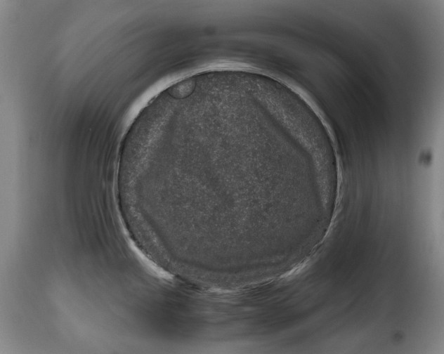 X0000115371245200911241233