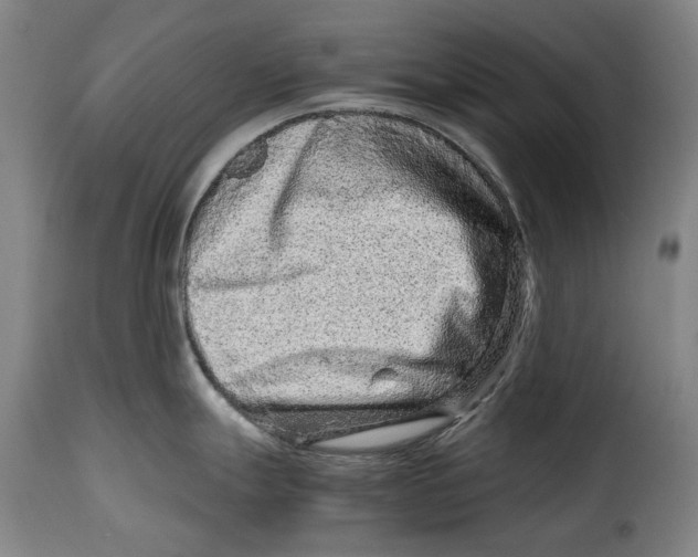 X0000115371247200911241233