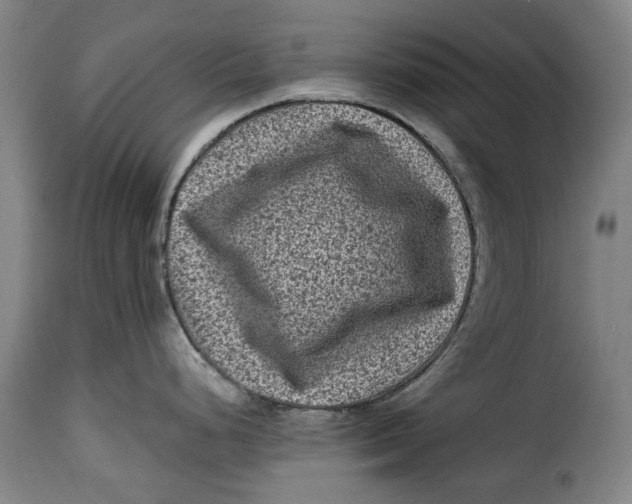 X0000115371248200911241233